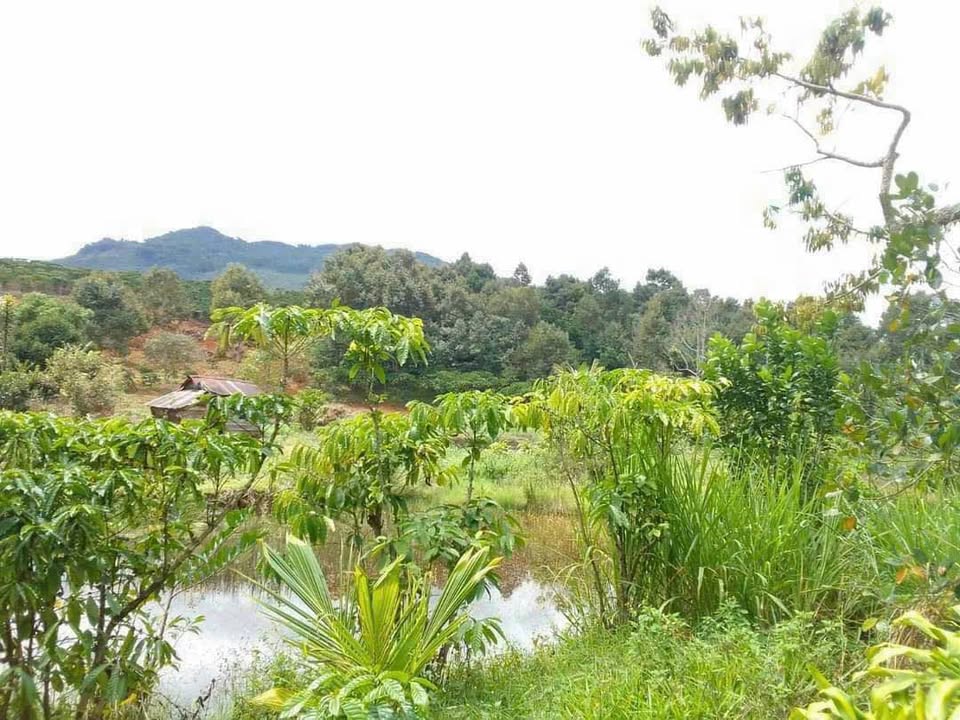 Đất nền 13680m² tại Lộc Thành, Bảo Lâm - Giá chỉ 4.5 tỷ, thương lượng