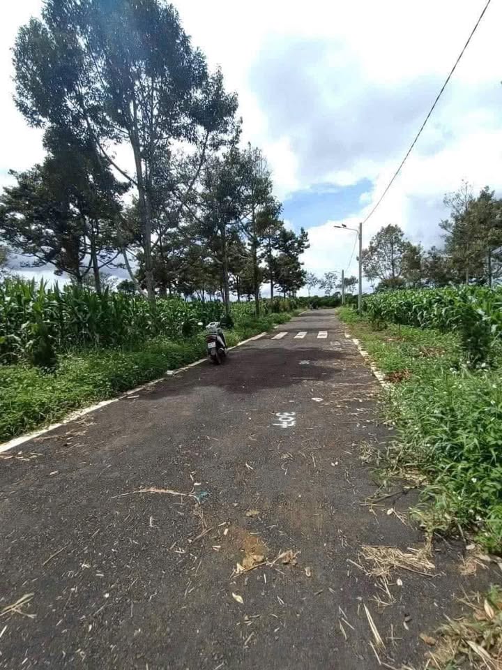 Đất thổ cư Lộc An 135m² giá chỉ 700 triệu - Cách đường chính 20m!