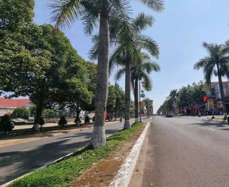 Nhà mặt tiền Hàng Dừa, Bảo Lộc 138m² giá 17.5 tỷ - Đối diện chợ mới, chính chủ bán!