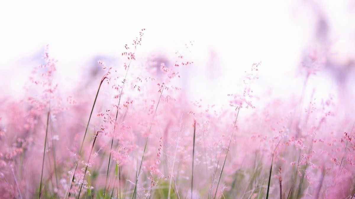 Đất chính chủ phường 8 Đà Lạt 68m² giá 1.28 tỷ - An ninh tốt, tiện ích đầy đủ!