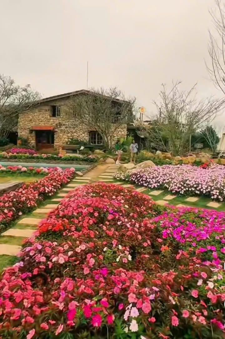 Đất nền P7 Đà Lạt 58m² giá 570 triệu - Cơ hội đầu tư tuyệt vời!