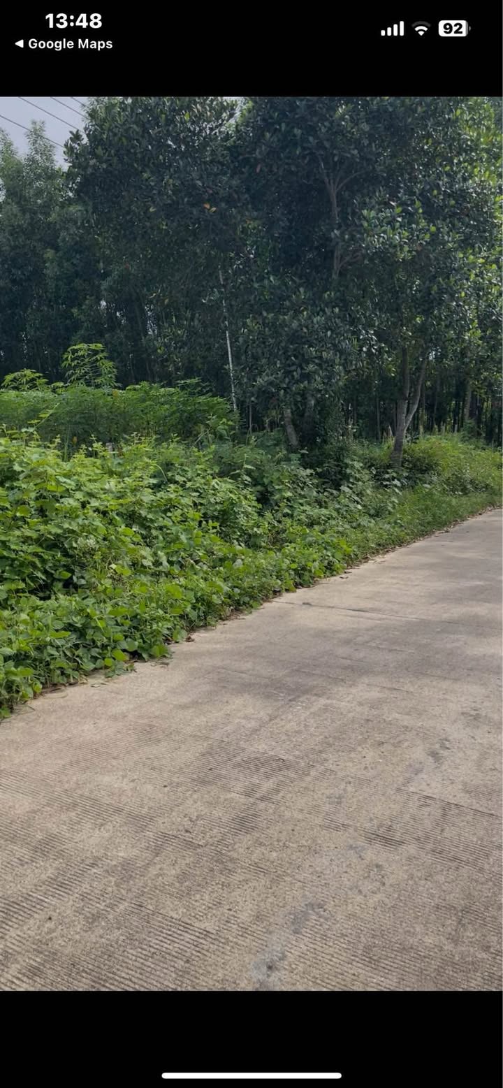 Đất nền Nghĩa Thắng, Tư Nghĩa 630m² giá chỉ 5xx triệu - Cơ hội đầu tư hấp dẫn!