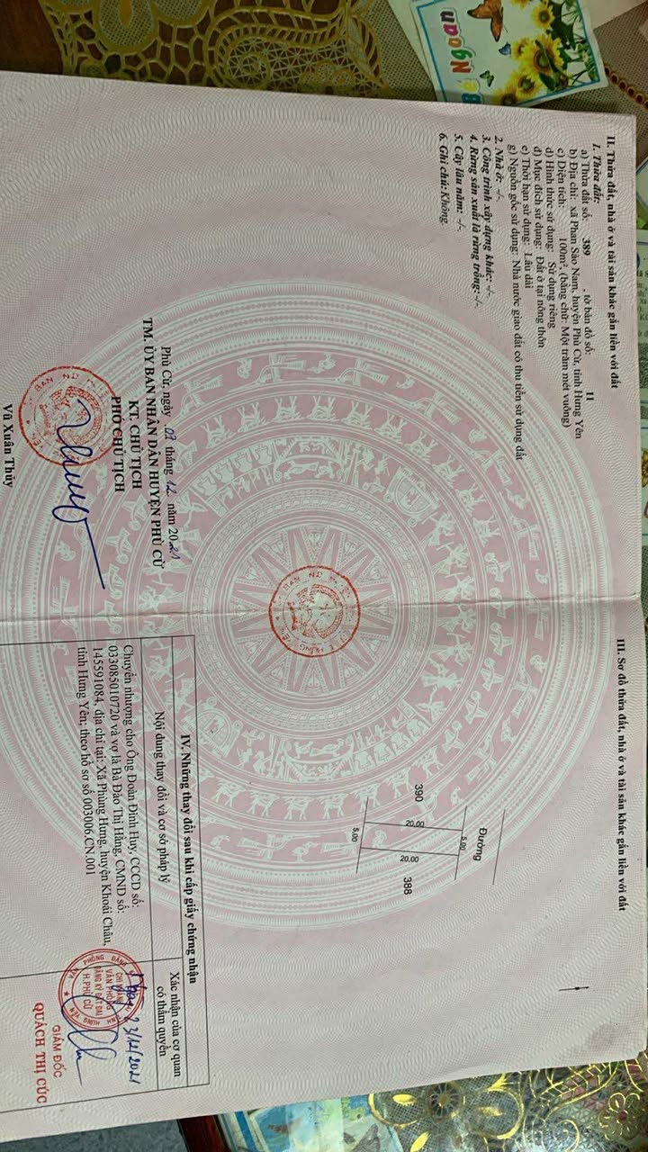 Đất nền Phan Sào Nam 100m² - Chính chủ cần bán gấp!