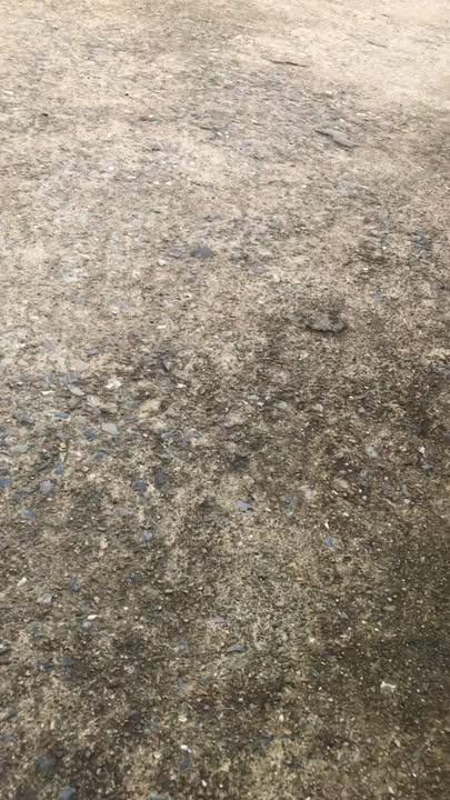 Đất nền Quỳnh Bảng 136m² - Lô góc 2 mặt tiền, gần biển!