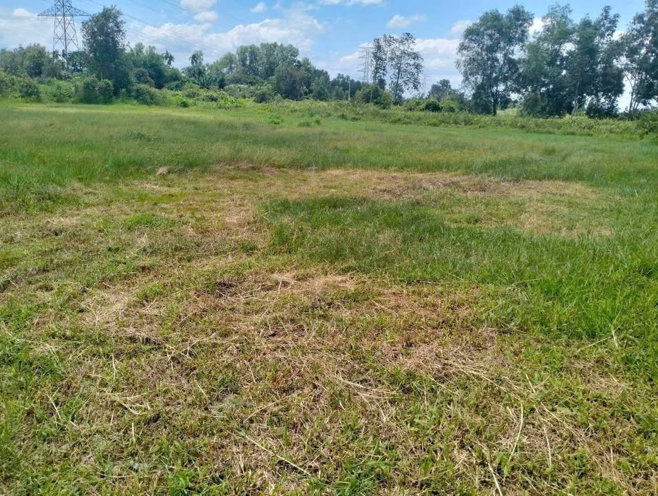 Đất vườn Tân Thạnh Tây, Củ Chi 4620m² chỉ 4 tỷ - Cơ hội đầu tư tuyệt vời!