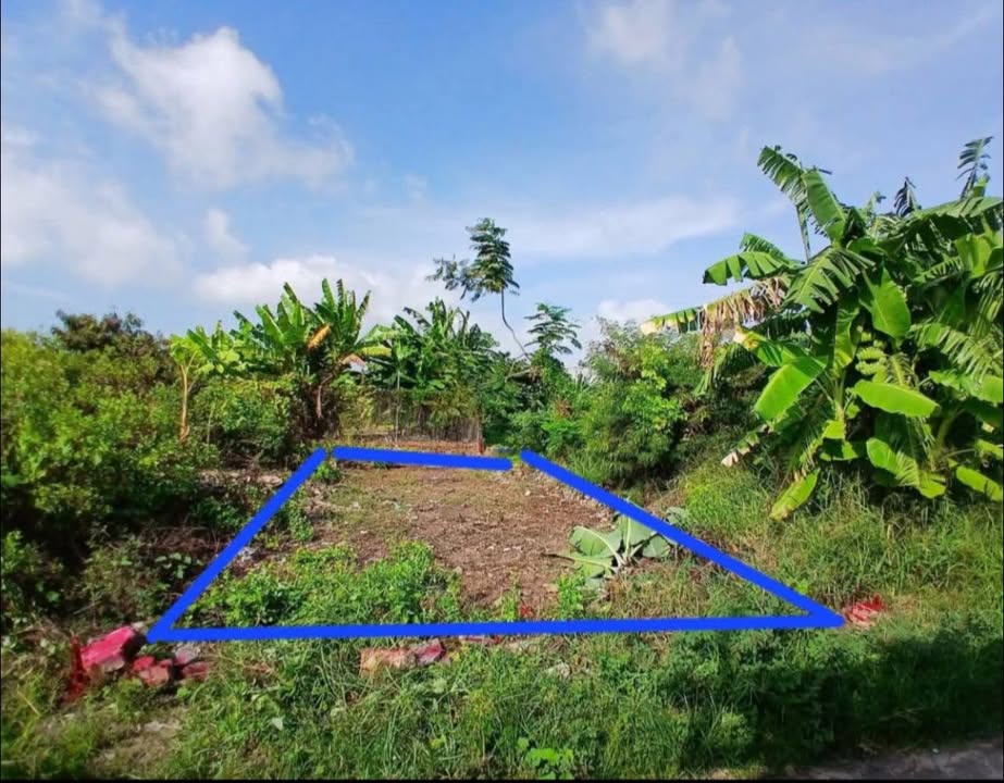 Đất nền hẻm 1216/56 đường 30/4, Vũng Tàu 93m² giá 1.25 tỷ - Pháp lý sổ đỏ chính chủ!