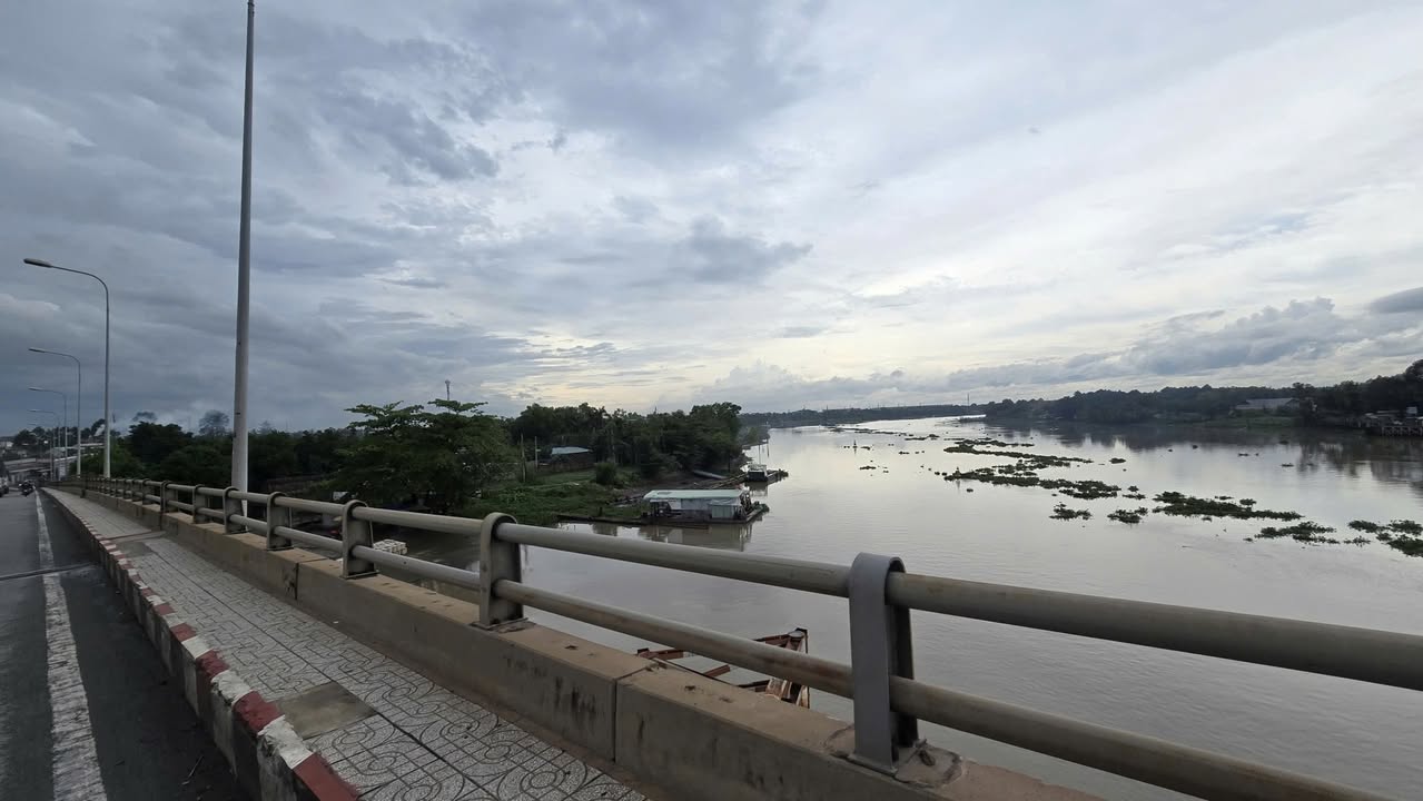 Đất mặt tiền sông Sài Gòn tại Bình Mỹ, Củ Chi 4666m² giá 40 tỷ - Cơ hội đầu tư hấp dẫn!