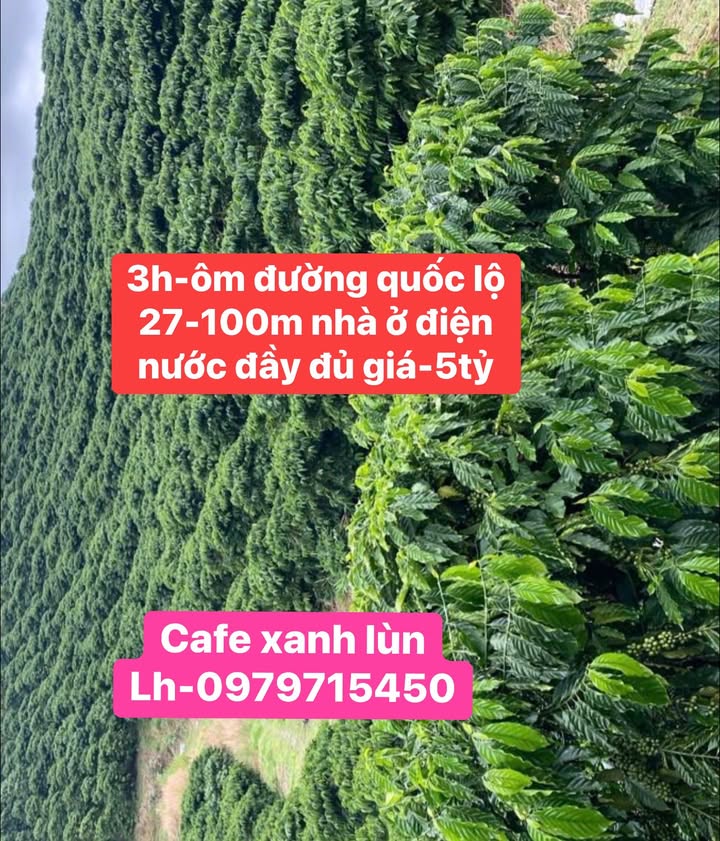 Đất mặt tiền Quốc lộ 27, xã Krông Nô, 3ha - Cơ hội đầu tư hấp dẫn!