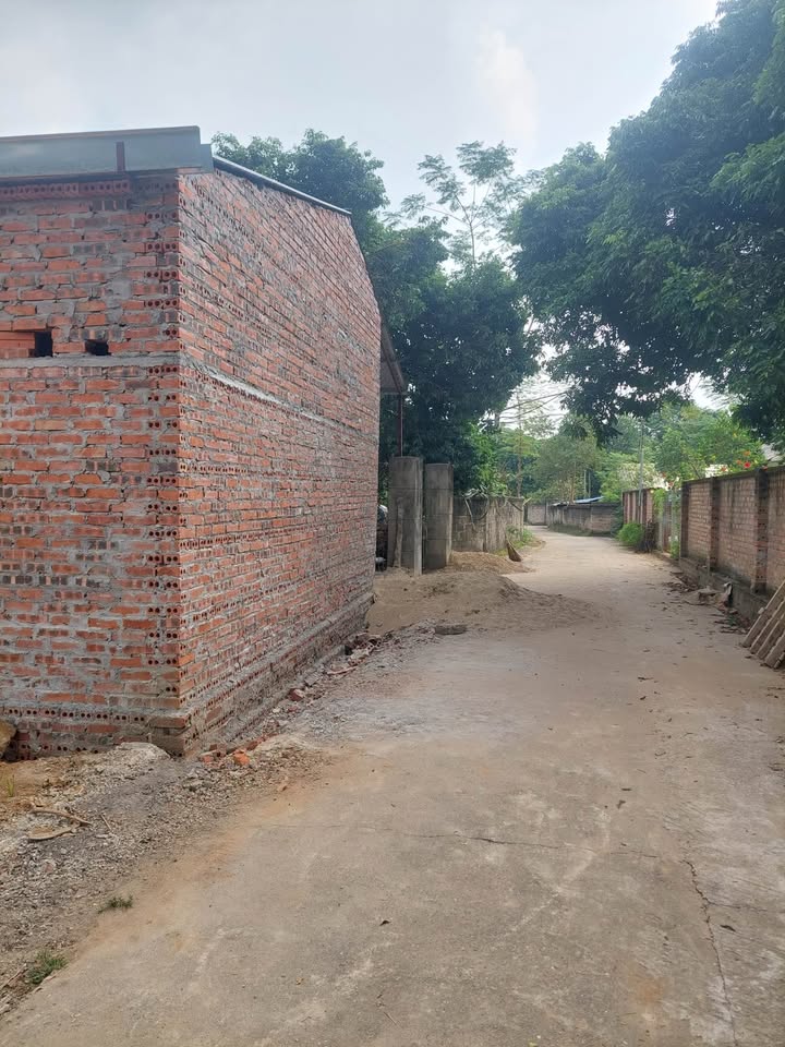 Đất nền Phường Phong Châu 400m² giá chỉ 2 tỷ - Đầu tư sinh lời ngay!