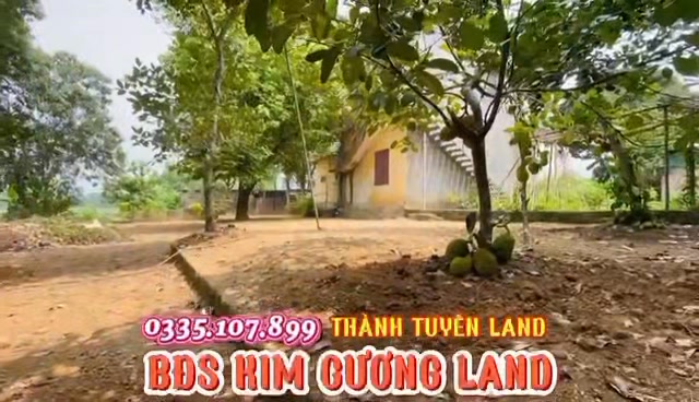 Đất thổ cư An Tường, Tuyên Quang 1310m² giá 16.77 tỷ - Cơ hội đầu tư sinh lời!