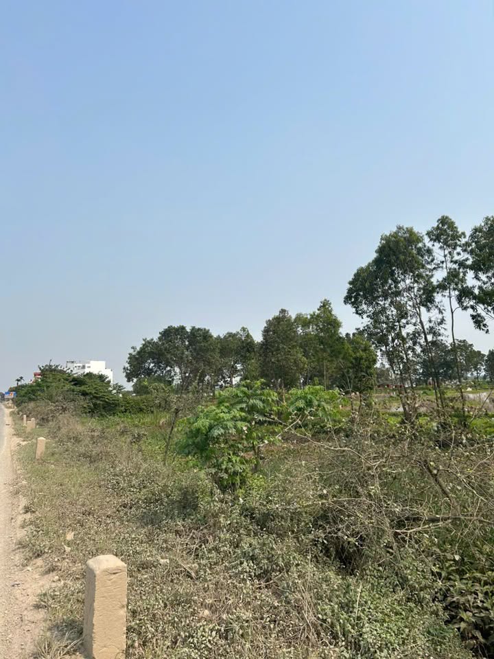 Đất nền mặt đường Tế Tiêu, 60m² giá 3 tỷ - Tiềm năng phát triển lớn!