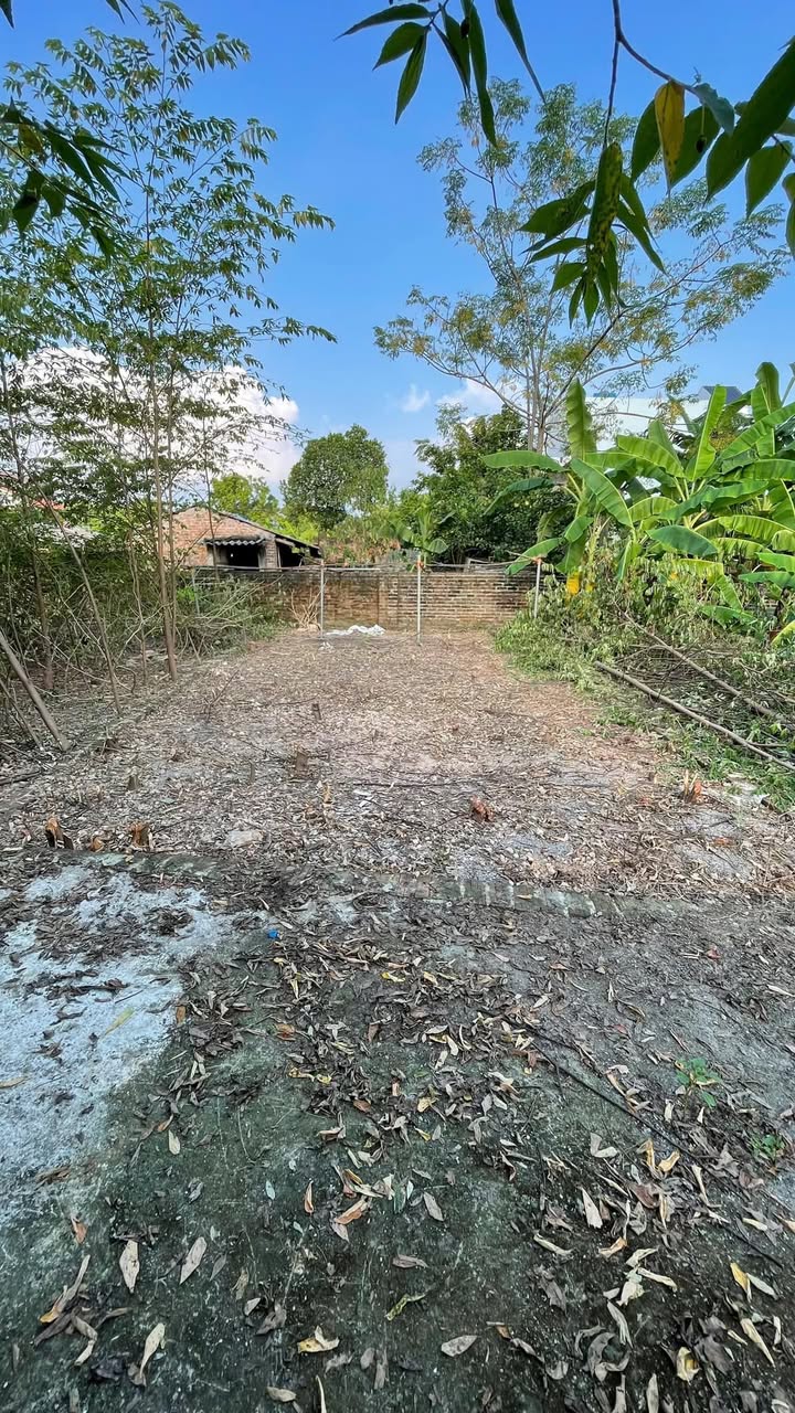 Đất nền An Mỹ, Mỹ Đức 60m² giá 1 tỷ - Cơ hội vàng đầu tư!