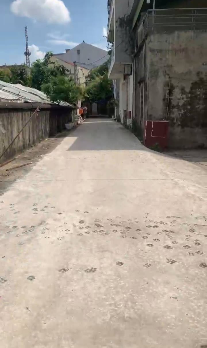 Đất nền Tế Tiêu 60m² giá 2 tỷ - Lô góc đẹp, tiềm năng sinh lời!