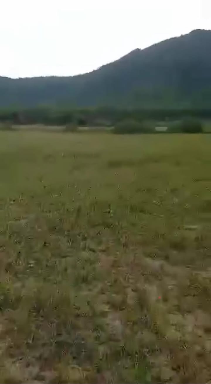 Đất trồng cây lâu năm Thôn Nam Giang, 2362m² giá 199 triệu - Sổ đỏ chính chủ