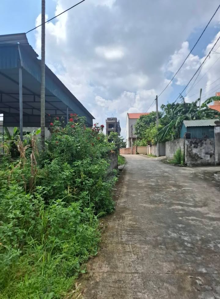 Đất nền 206m² mặt tiền đường Điện Biên, phường Sao Đỏ - Giá 1 tỷ hấp dẫn!