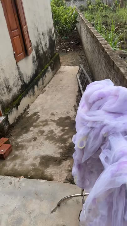 Đất thổ cư 300m² hai mặt tiền tại xã Nghĩa Thuận, Thái Hòa - Giá chỉ 1 tỷ