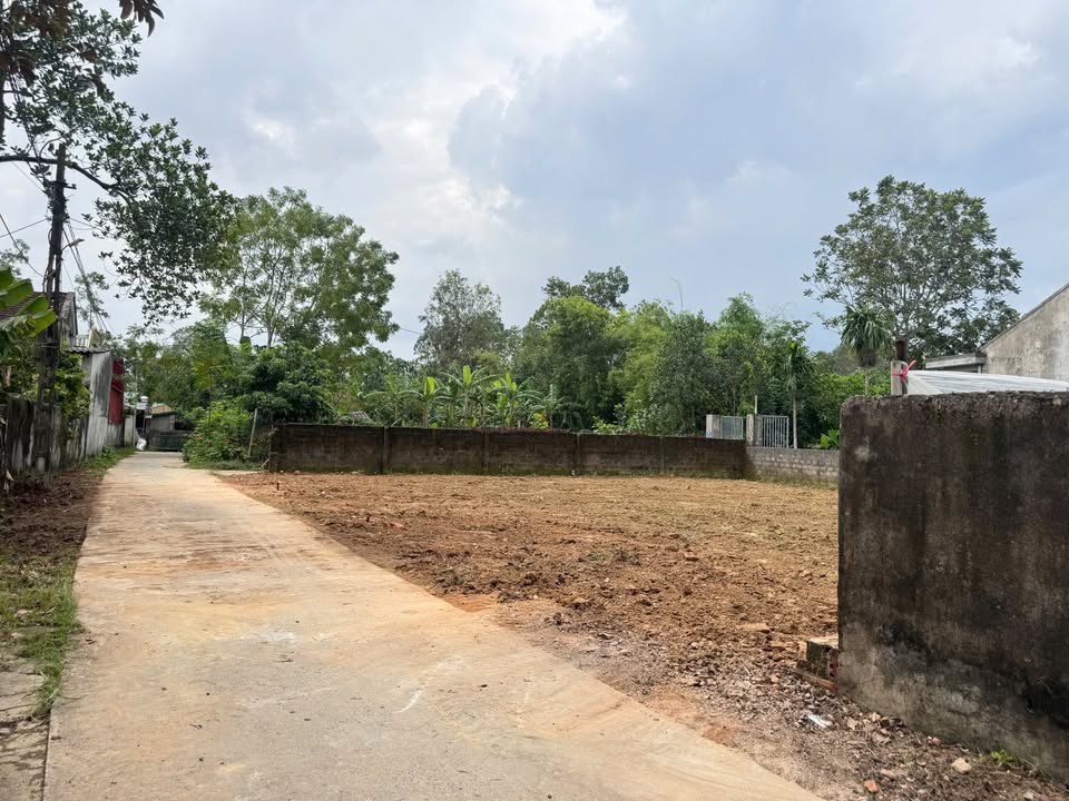 Đất nền Thọ Phú, Triệu Sơn 115m² giá chỉ 300 triệu - Cơ hội đầu tư tuyệt vời!