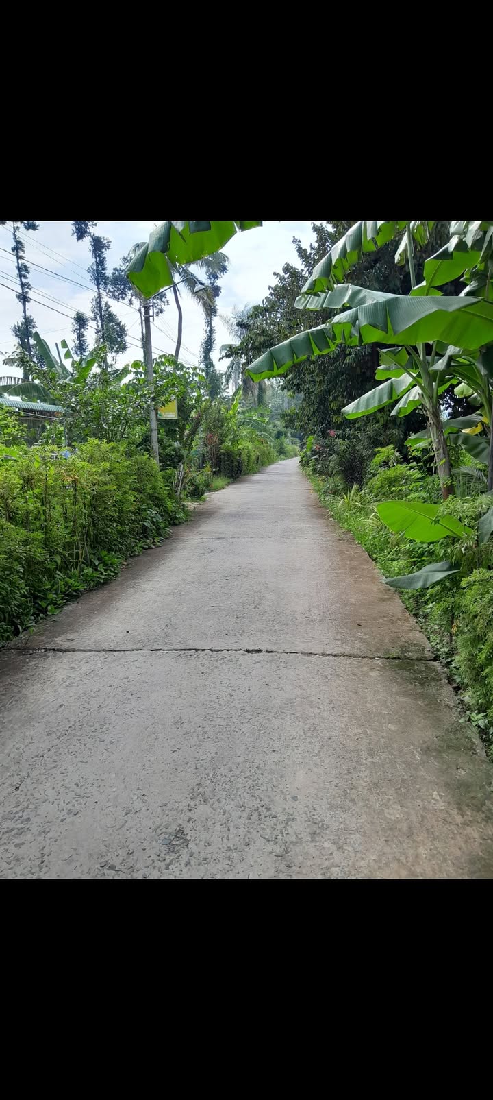 Đất nền Tân Nghĩa, Vĩnh Long 2600m² giá 680 triệu - Cơ hội đầu tư lý tưởng!