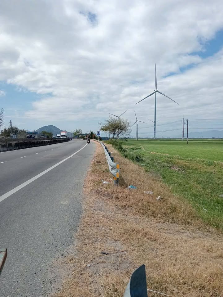 Đất trồng lúa 2.716m² tại Bắc Phong, Ninh Thuận - Mặt tiền QL1A, giá 1.3 tỷ!