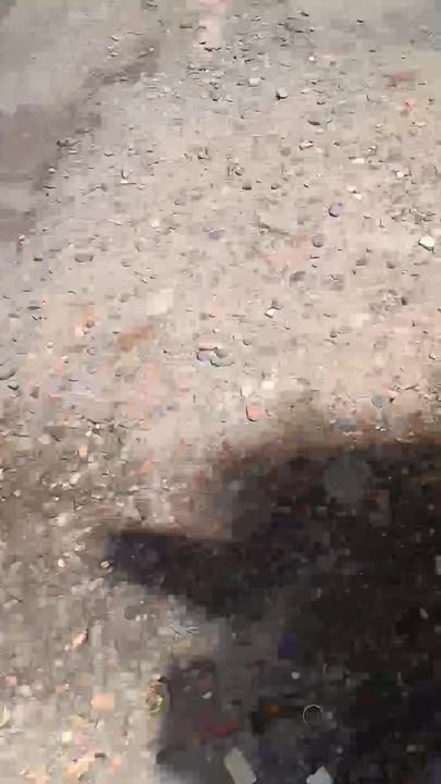 Nhà cho thuê Đặng Văn Ngữ, Phú Nhuận - 48m² chỉ 30 triệu/tháng - Phù hợp kinh doanh và ở ngay!