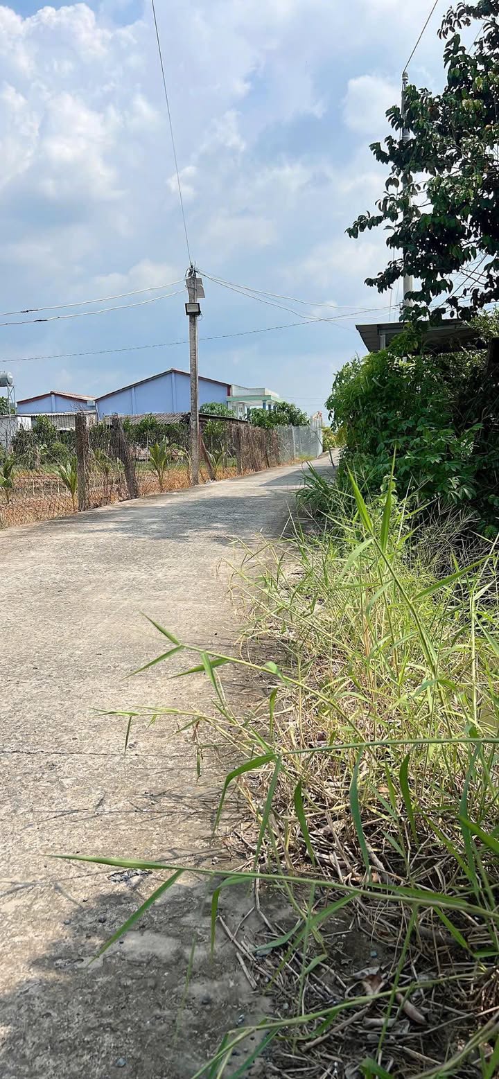 Đất thổ cư 300m² tại ấp 3, xã Hòa Phú, giá 1.1 tỷ - Đường thông ô tô vào tận nơi!