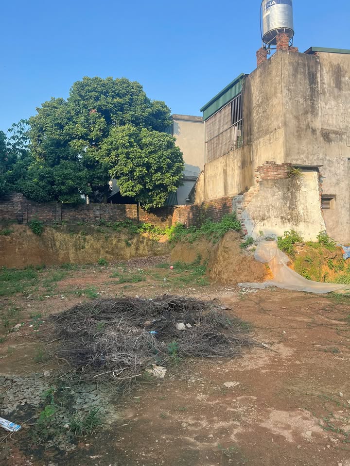 Đất thổ cư Dữu Lâu 241m² giá 2 tỷ - Cơ hội vàng xây biệt thự!