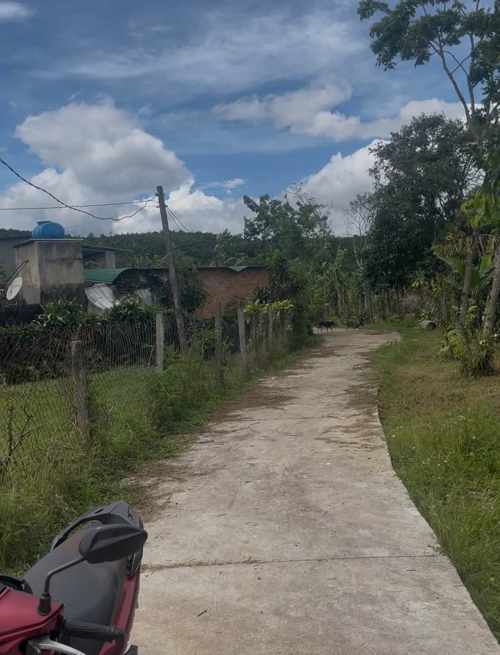 Đất 1,2 Sào có Nhà Cấp 4 tại Hòa Nam, Di Linh - Chỉ 650 triệu!