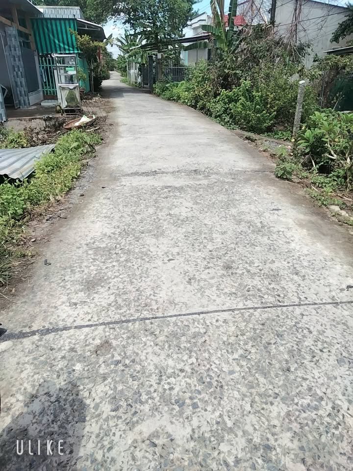 Đất thổ cư 300m² xã Bình Thạnh, Tháp Mười - Giá chỉ 1.6 tỷ, thuận tiện kinh doanh!