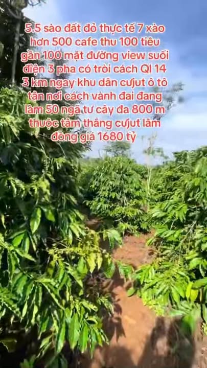 Đất nền 19800m² tại Tân Đồng, Bình Phước giá 1.68 tỷ - Gần Quốc lộ 14, view suối tuyệt đẹp!