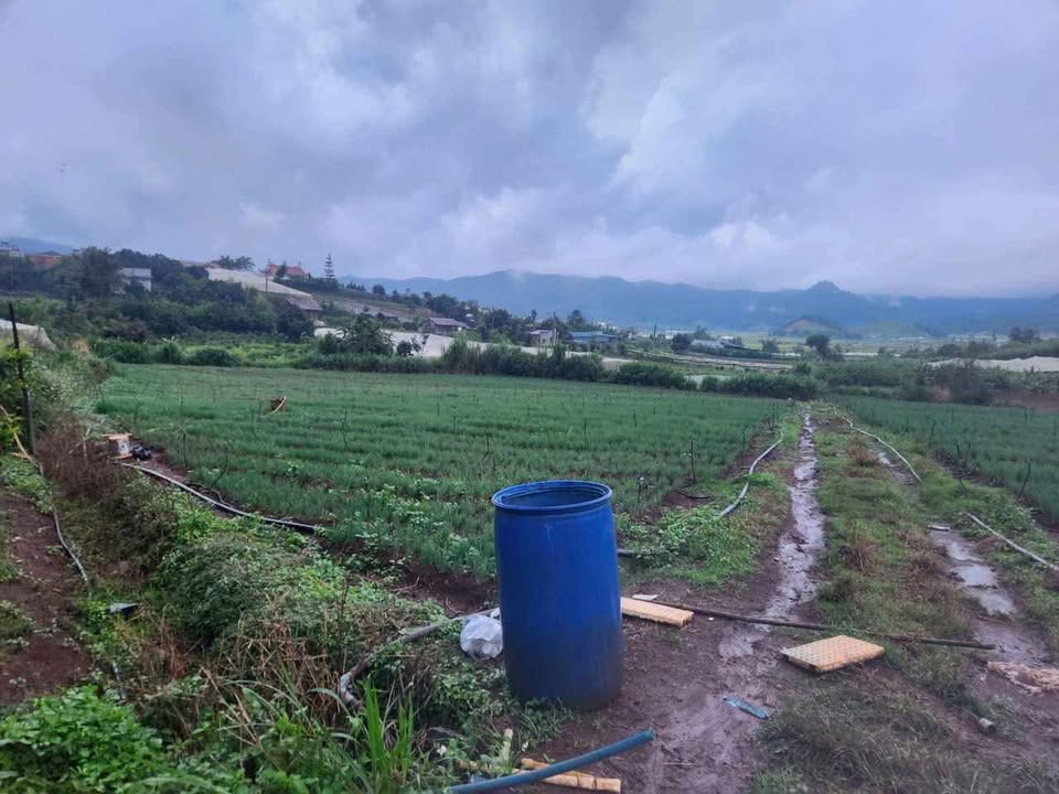 Đất thổ cư 800m² tại Quảng Lập, Đơn Dương, Lâm Đồng - Giá chỉ 28.037 tỷ!