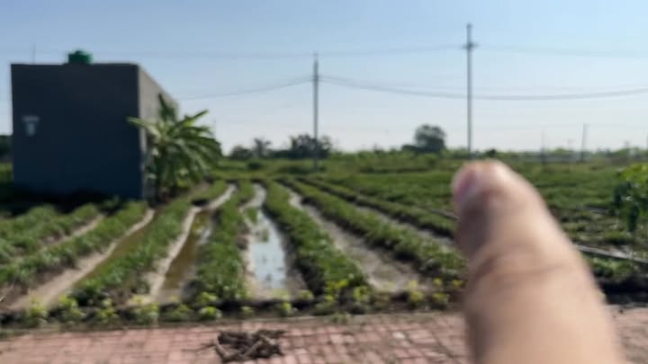 Đất nền Phan Sào Nam, Phù Cừ, Hưng Yên 100m² giá 2 tỷ - Vị trí kinh doanh đắc địa!