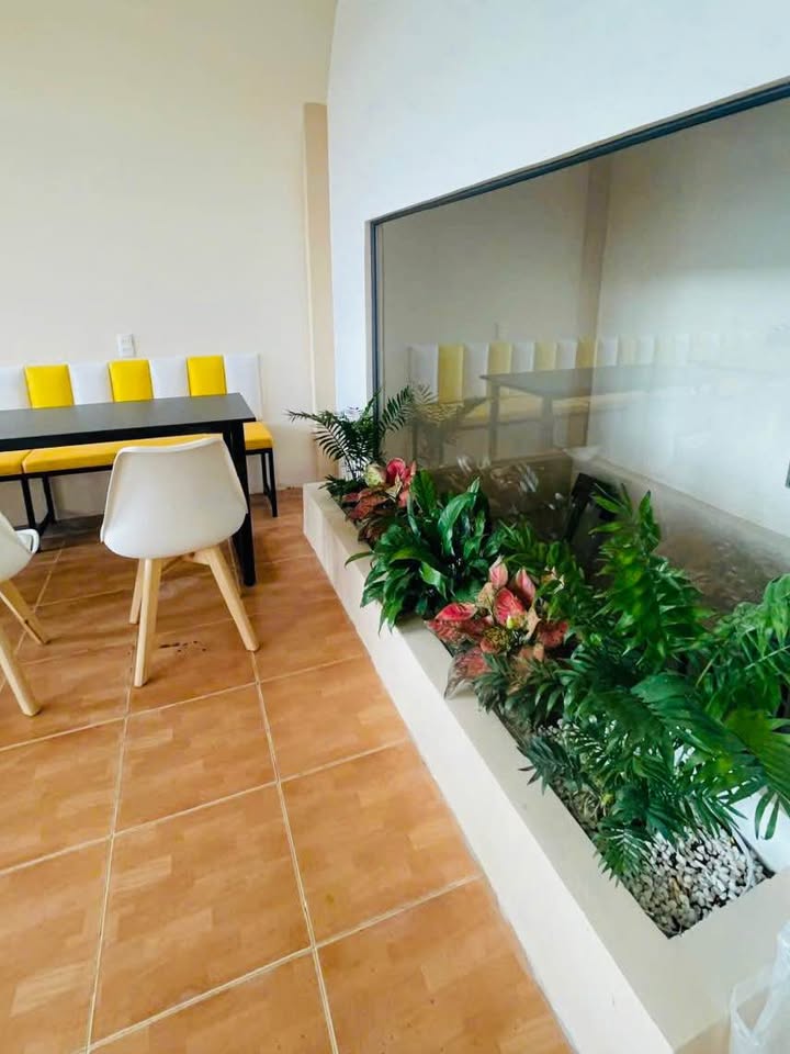 Nhà mặt tiền Tôn Thất Tùng, Rạch Giá 65.25m² giá 2 tỷ - Kinh doanh thuận lợi!