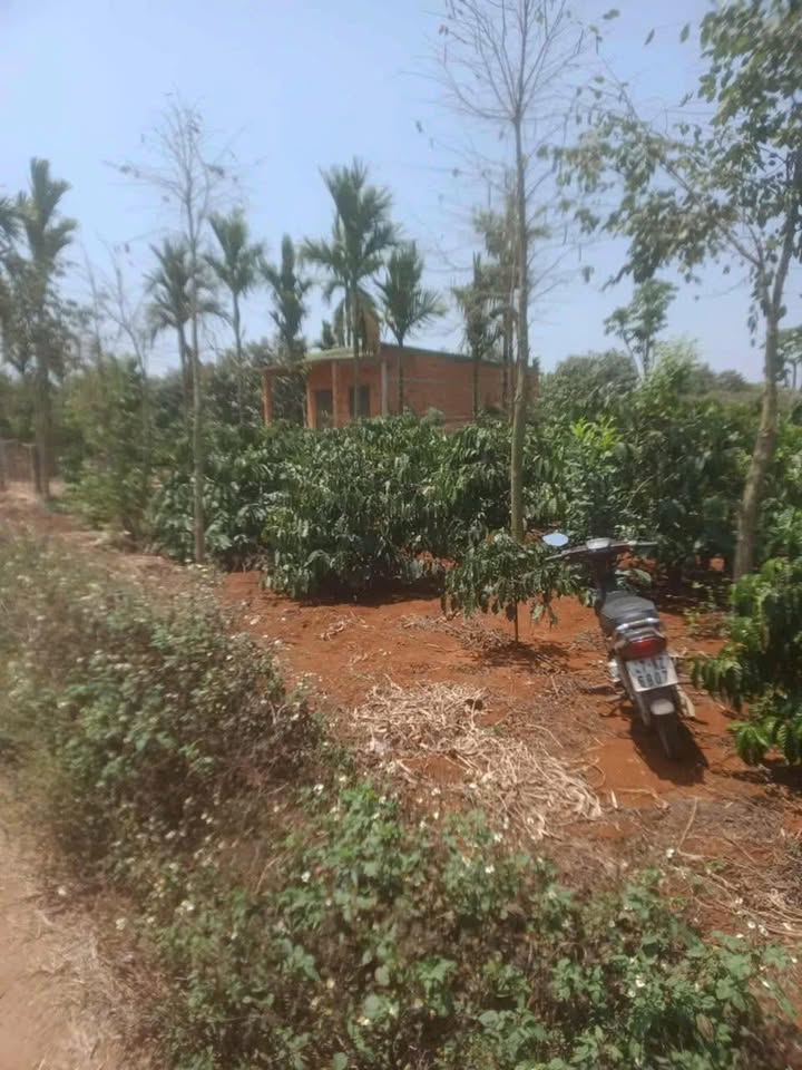 Đất nền chính chủ xã Phú Xuân 1287m² giá thỏa thuận - Mảnh đất lý tưởng cho đầu tư!