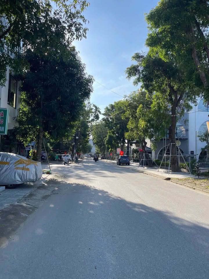 Đất kinh doanh tại Đông Vệ, Thanh Hóa 88m² giá 6.55 tỷ - Đầu tư sinh lời ngay!