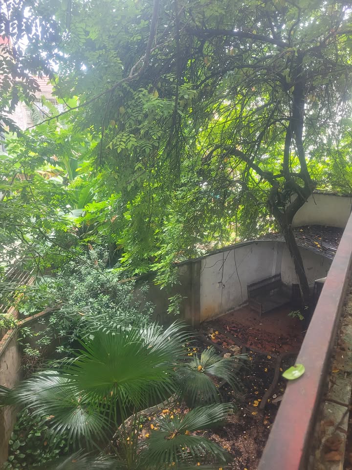 Đất 470m² tặng nhà 2 tầng đường Chu Văn An - Giá chỉ 5 tỷ VND!