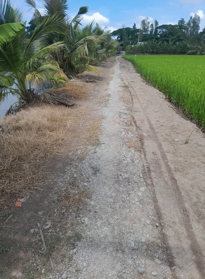 Đất nông nghiệp 85 công tại Vĩnh Nhuận, Châu Thành, An Giang - Giá 13.175 tỷ, Cập lộ đá, Mặt tiền 100m!