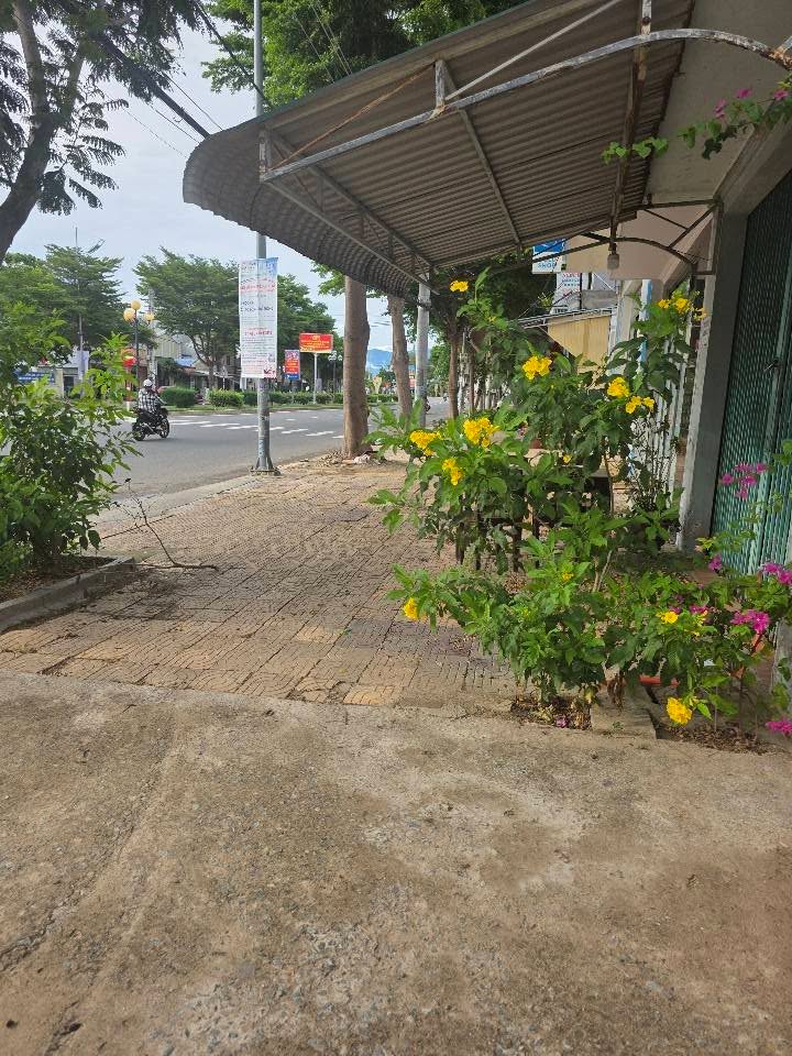 Nhà cấp 4 Phan Rang-Tháp Chàm 106m² - Đối diện trường C1, chính chủ bán gấp!