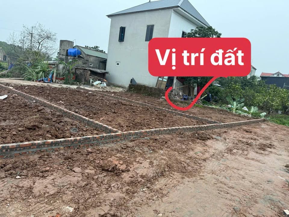 Đất chính chủ Chương Dương, Thường Tín 80m² giá 2.4 tỷ - Đầu tư sinh lời hấp dẫn!