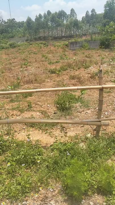 Đất nền Quốc lộ 38B, Hoa Lư 120m² giá 1.8 tỷ - Cơ hội đầu tư hiếm có!