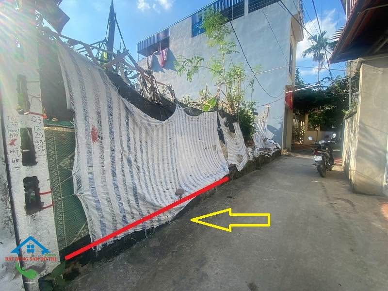 Đất nền 46m² tại xã Tam Hưng, Thanh Oai - Vị trí đẹp, giá tốt cho đầu tư!