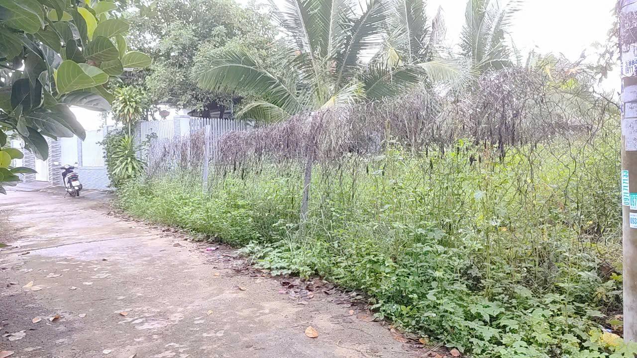 Đất thổ cư Thôn Quang Thạnh, Xã Diên Lạc 204m² giá 1.25 tỷ - Đầu tư sinh lời hấp dẫn!