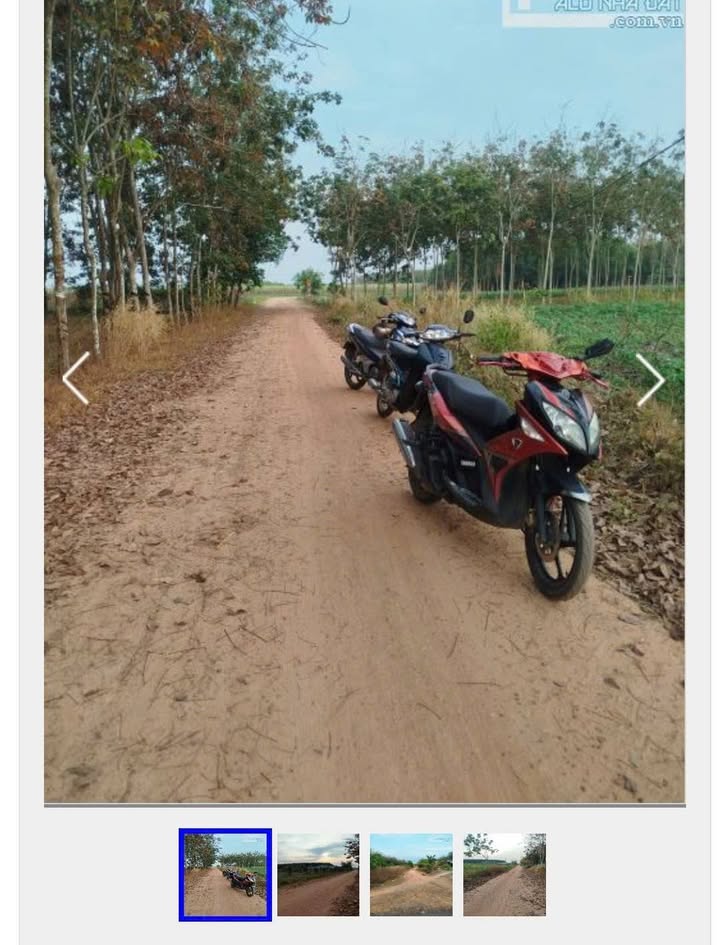 Đất thổ cư Thạnh Tây Tân Biên 400m² giá 2.3 tỷ - Đường xe hơi vào tận nơi!