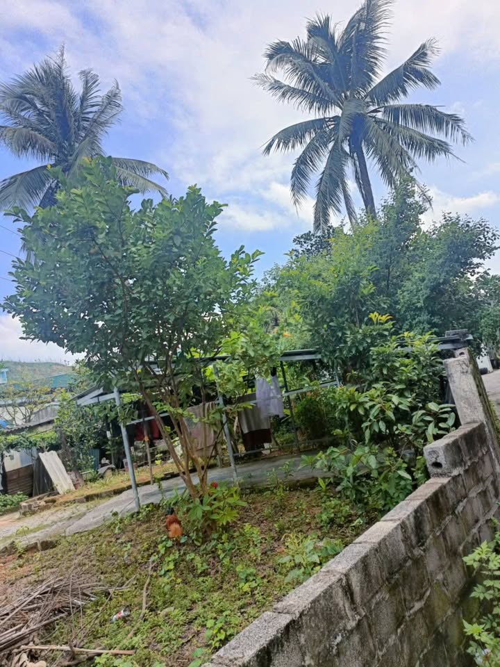 Đất nền phường Quang Hanh, Cẩm Phả 70m² giá 900 triệu - Cơ hội đầu tư hấp dẫn!