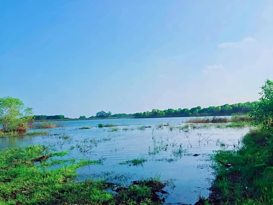 Đất 1.600m² tại Xã Long Tân, Bà Rịa - Vũng Tàu chỉ 2.499 tỷ - Mặt tiền rộng rãi, quy hoạch đất ở!