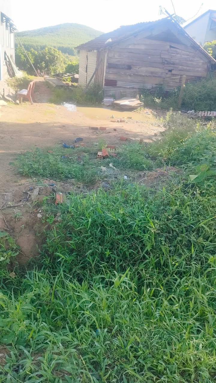 Đất thổ cư Cư Pui 1200m² giá 1.92 tỷ - Cơ hội đầu tư hấp dẫn!