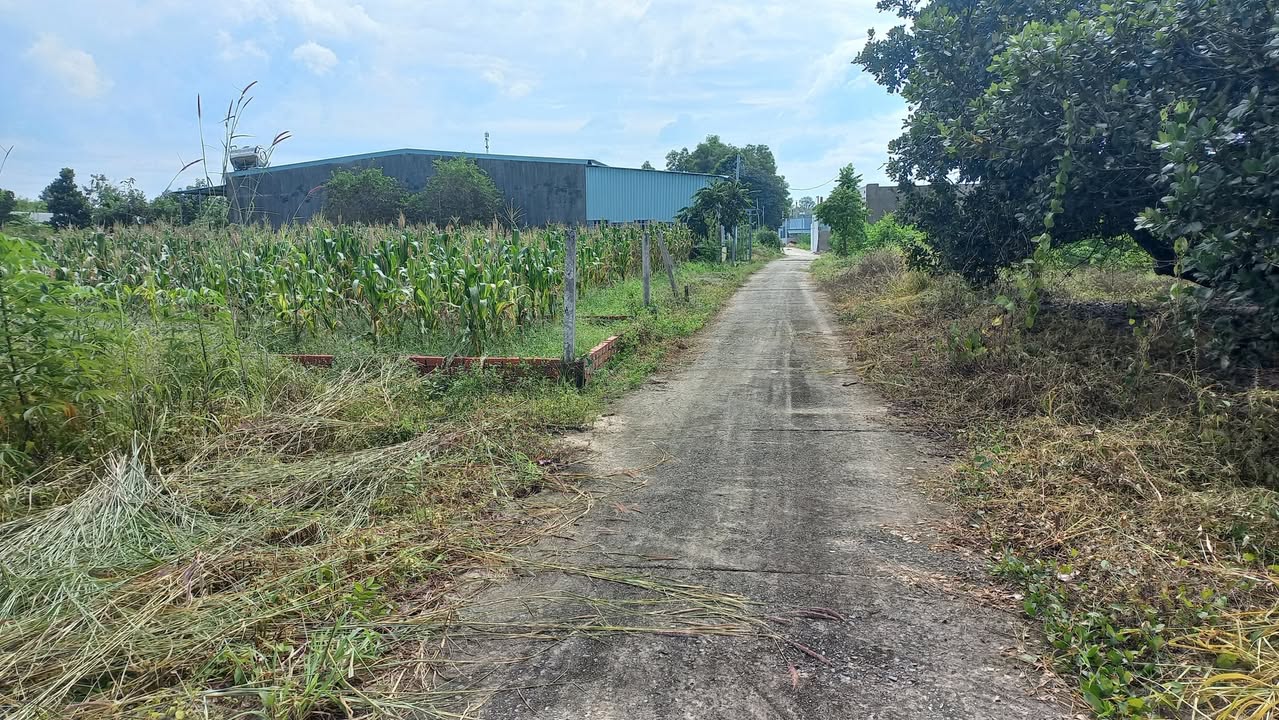 Đất nền Hắc Dịch, Phú Mỹ 220m² chỉ 1 tỷ - Sổ hồng riêng, đầu tư sinh lời!