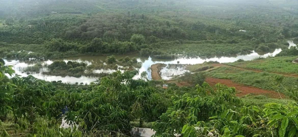 Đất rẫy 14,4ha tại xã Trường Xuân, Đắk Song - Giá 2,1 tỷ, thương lượng nhẹ!