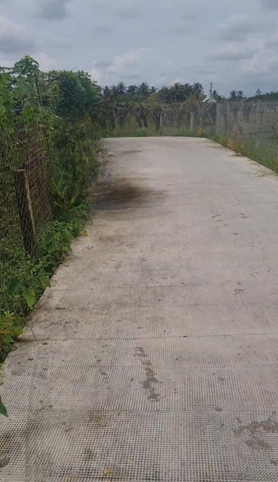 Đất nền 1400m² tại xã Phú Ngãi Trị, Long An - Giá chỉ 2 tỷ, không lo thiên tai!