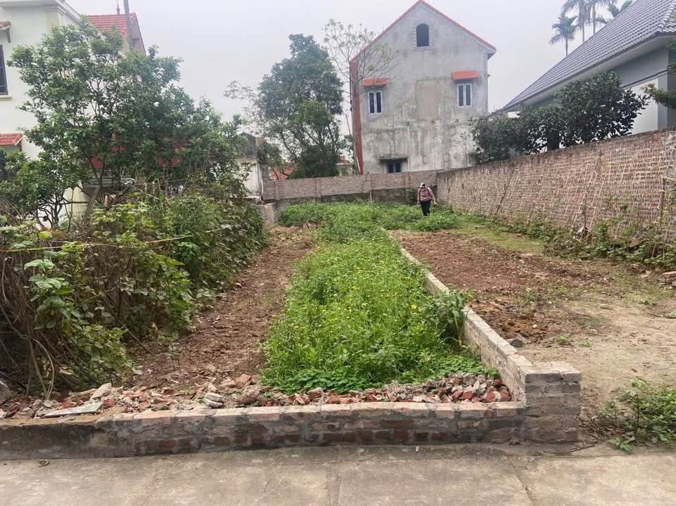 Đất nền Nam Phong - Phú Xuyên 99m² giá 2 tỷ - Đầu tư sinh lời cao!