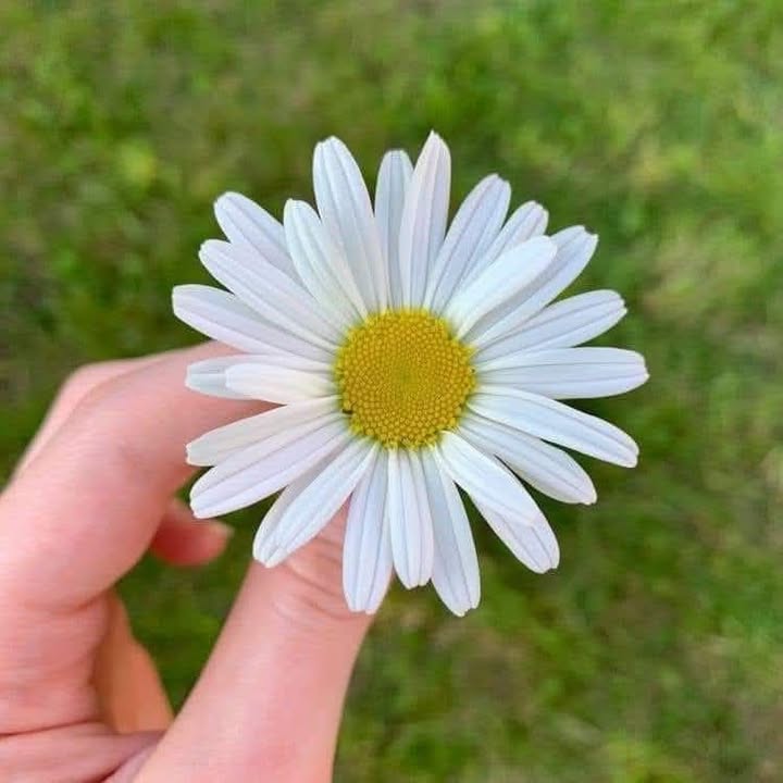 Đất đường nhựa xã Hoài Đức 1092.5m² - Bán gấp với giá tốt!